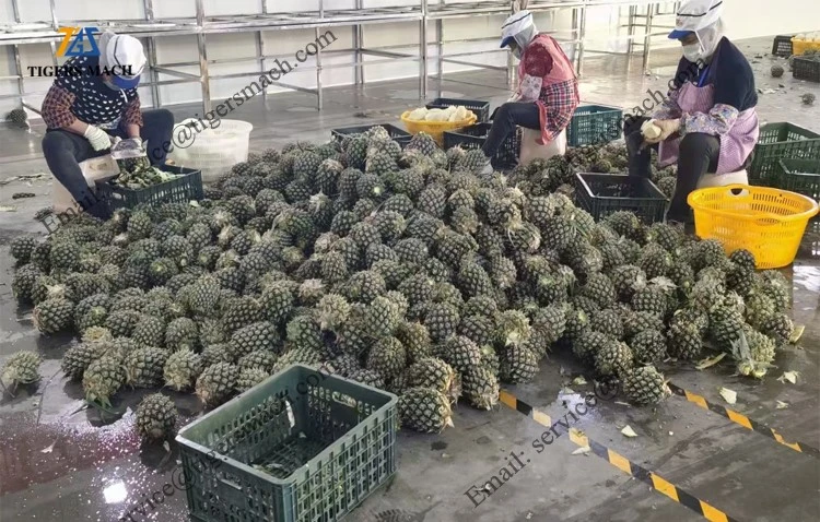 Pineapple Peeler Decore Machine Pineapple Peeler Decore Machine
