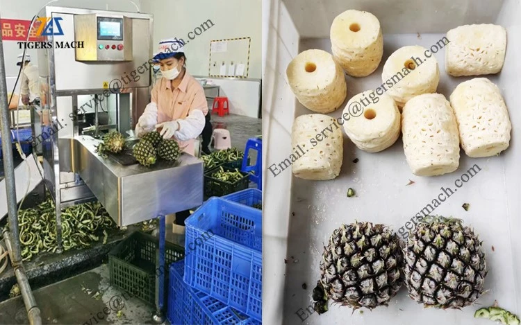 pineapple peeler machine in pineapple processing line pineapple peeler machine in pineapple processing line