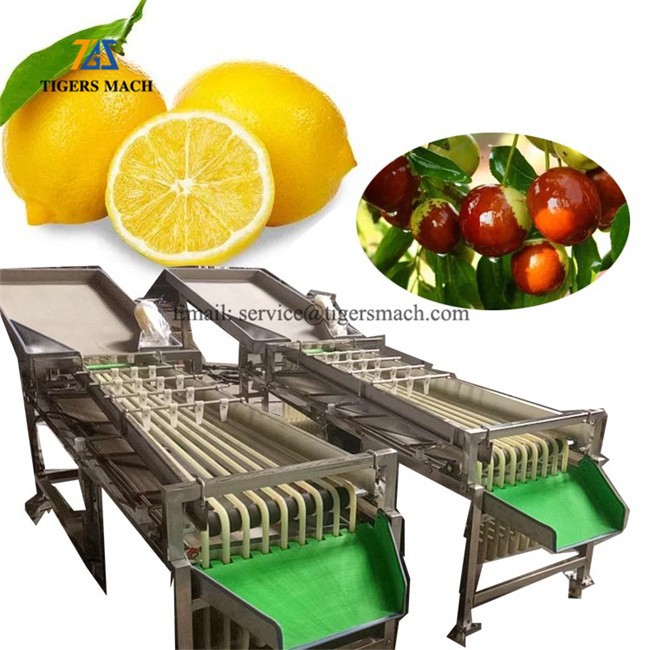 Date Jujube Graded Sorter