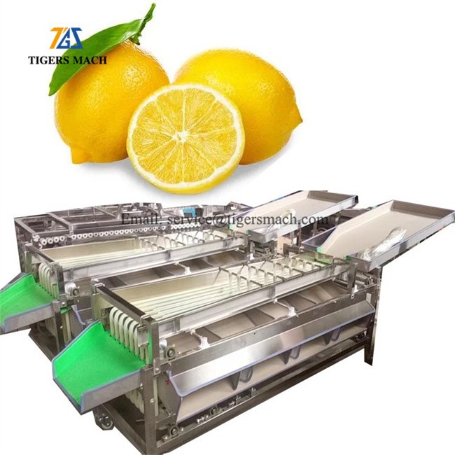 size grading machine Date Jujube Graded Sorters