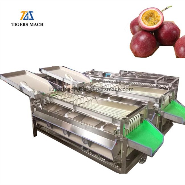 Date Jujube Graded Sorting Machine