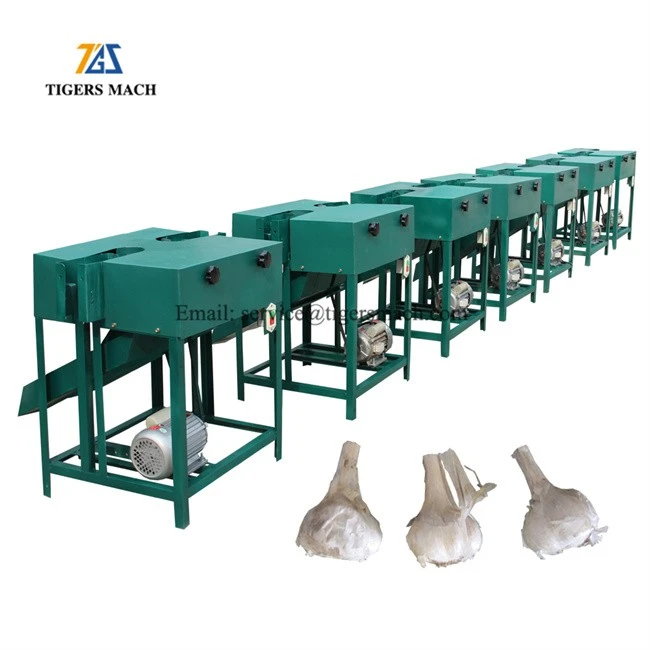 Different size garlic process remove stems and tops, garlic root cutting machine price, garlic farm equipment to remove tails (5)